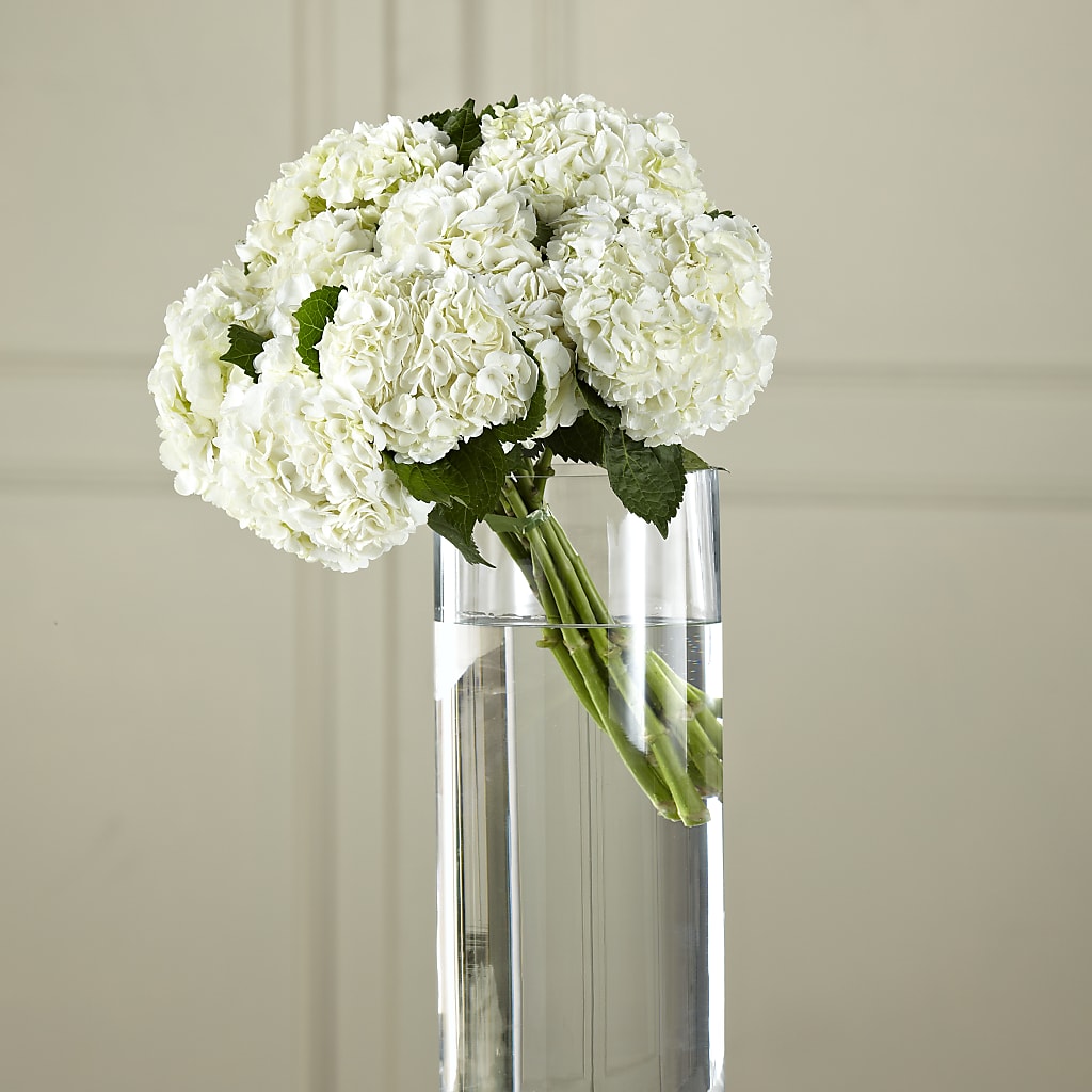 White Hydrangea Hand-Tied Bouquet –  Diana Flowers, Passaic NJ