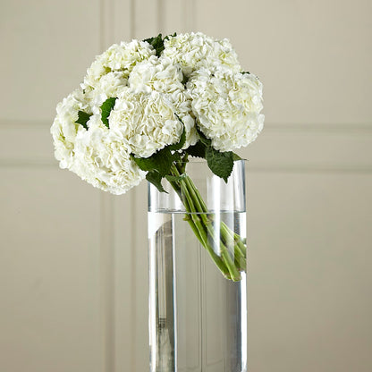 White Hydrangea Hand-Tied Bouquet –  Diana Flowers, Passaic NJ