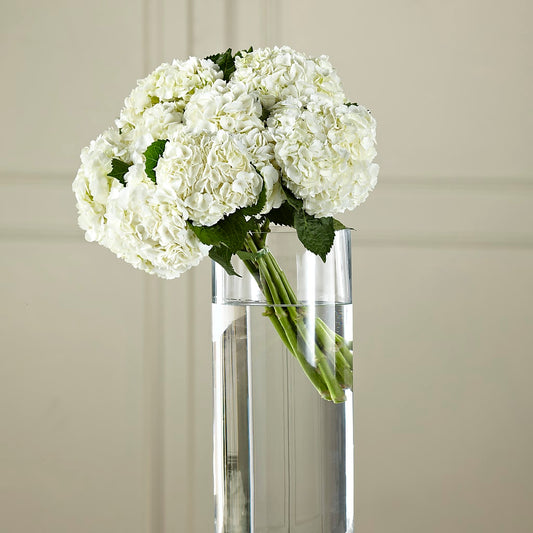 White Hydrangea Hand-Tied Bouquet –  Diana Flowers, Passaic NJ