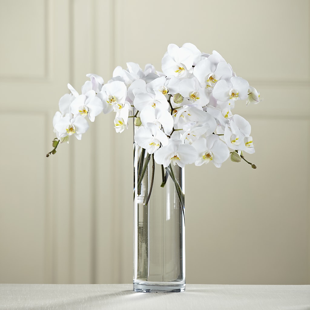 White Phalaenopsis Bouquet –  Diana Flowers, Passaic NJ