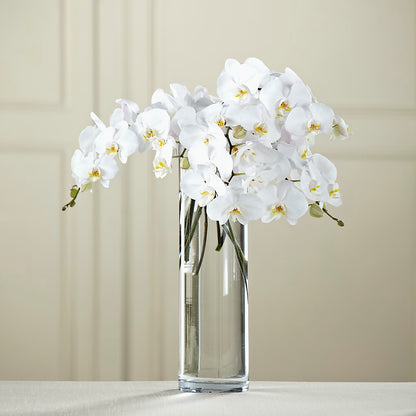 White Phalaenopsis Bouquet –  Diana Flowers, Passaic NJ