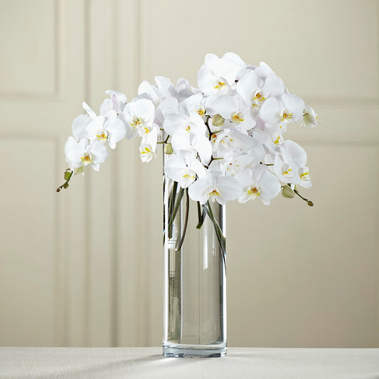 White Phalaenopsis Bouquet –  Diana Flowers, Passaic NJ