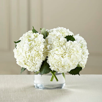 White Hydrangea Bouquet –  Diana Flowers, Passaic NJ