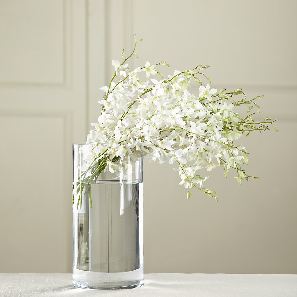 White Dendrobium Bouquet –  Diana Flowers, Passaic NJ